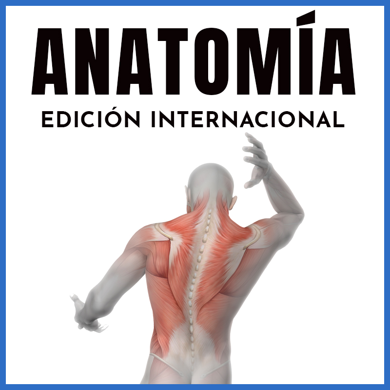 Anatomía | Edición Internacional | Dr. Horacio Chapa
