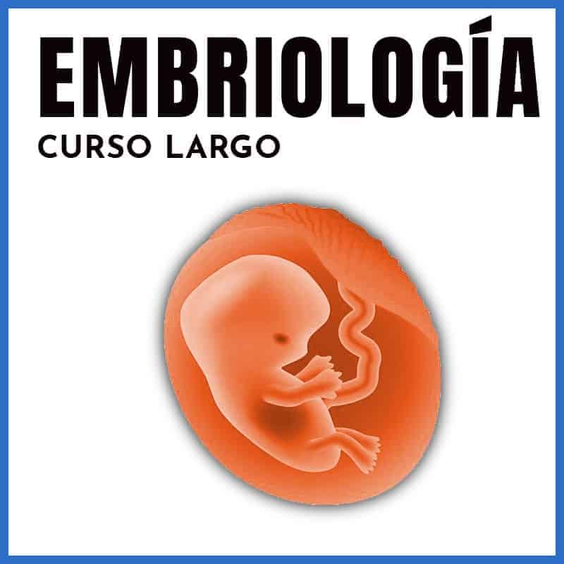 Embriología | Edición Internacional | Dr. Shahroj