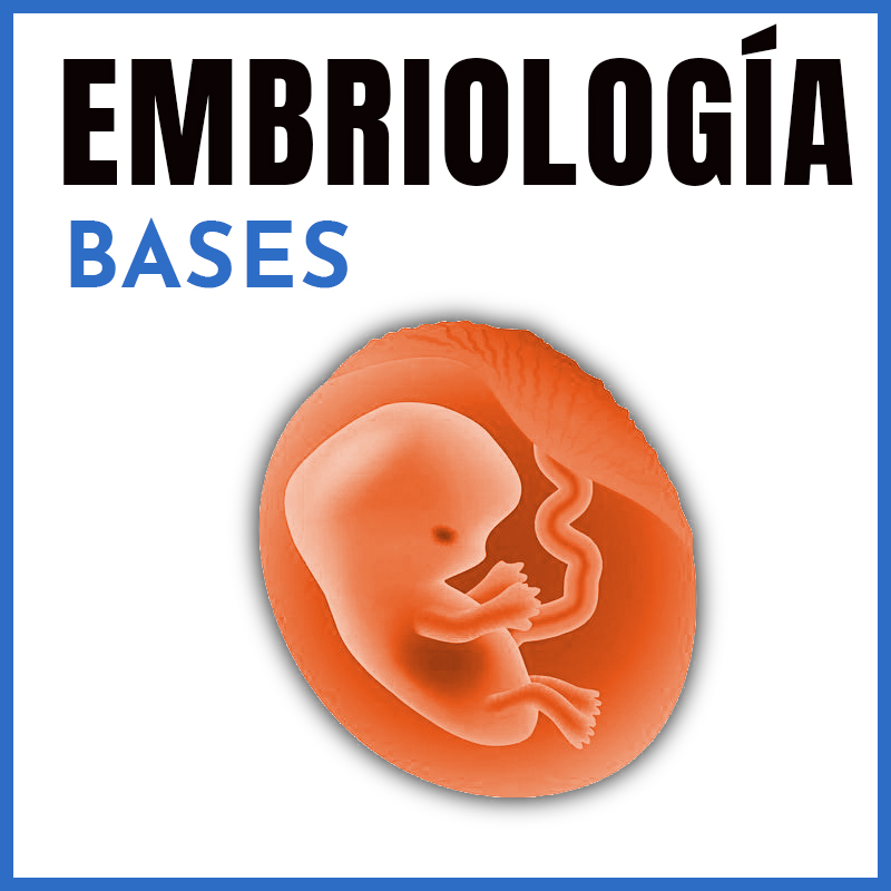 Embriología | Bases | Dr. Shahroj