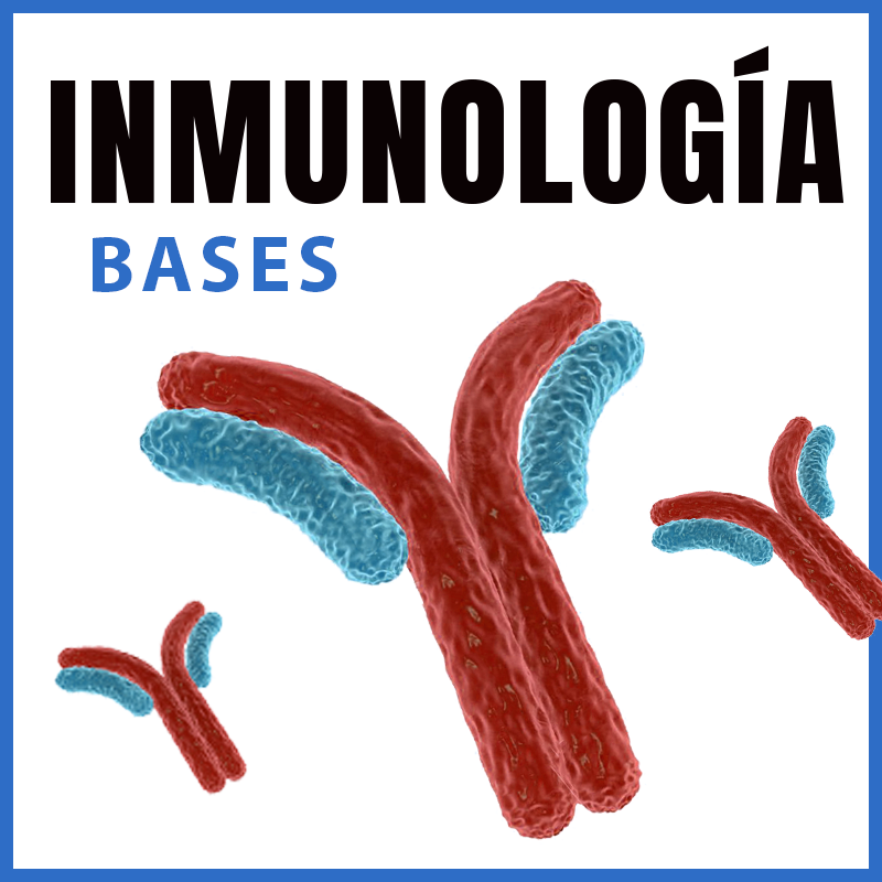 Inmunología | Bases